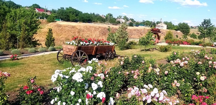 Парк «Тракія» поблизу Одеси перетворився на трояндовий рай